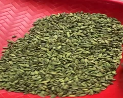 6 - 7MM Cardamom for sale in Idukki