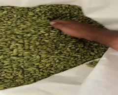 5 - 6MM Cardamom for sale in Idukki