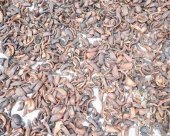 B Grade Quality Copra required in Kolar