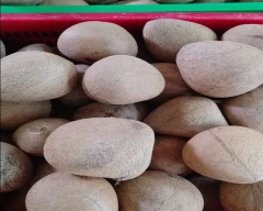 A Grade Quality Copra for sale in Bengaluru Urban