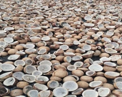 A Grade Quality Copra for sale in Coimbatore