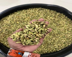 6 - 7MM Cardamom for sale in Idukki