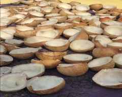 Normal Copra for sale in Tirupur