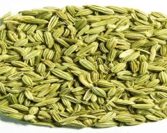 Normal Fennel Seeds for sale in Gurugram (Gurgaon)