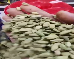 5 - 6MM Cardamom for sale in Idukki