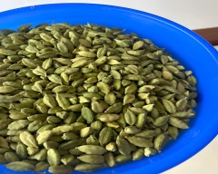8 MM Cardamom for sale in Idukki