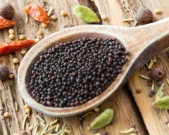 Black Mustard required in Bengaluru Rural